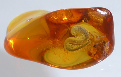 Bernstein Inkluse Tausendfer