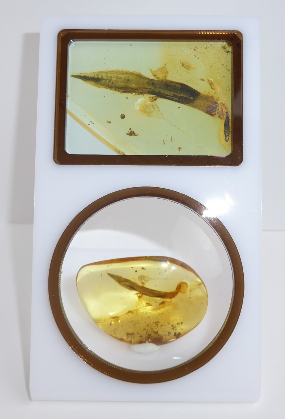 Bernstein mit Pflanzeneinschlüssen