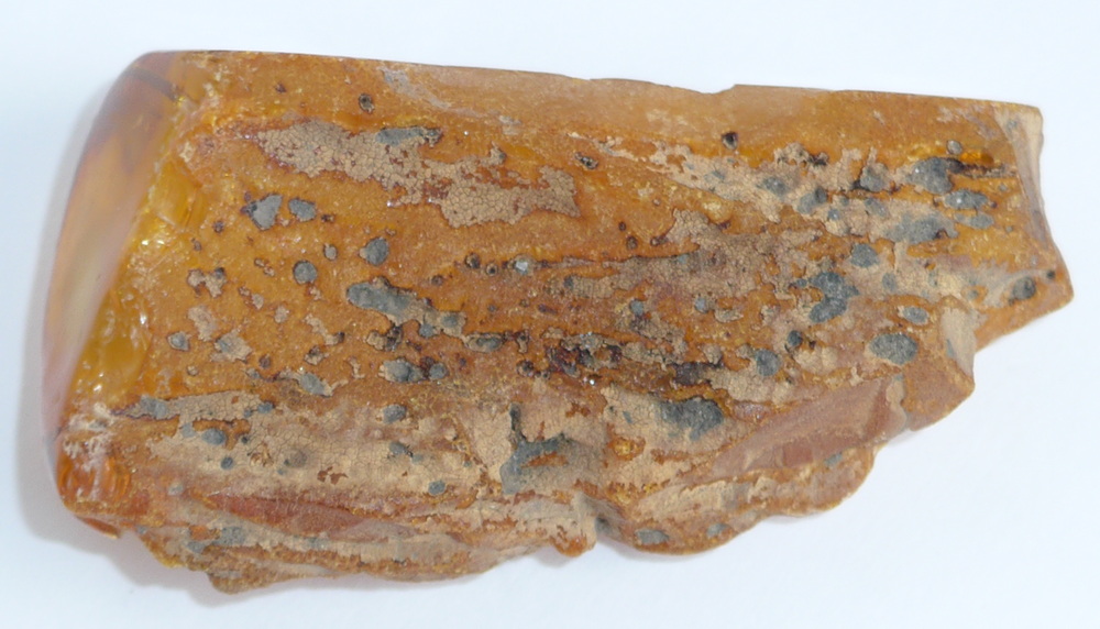 Naturbernstein von der Ostsee