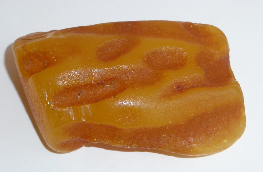 echter Ostsee Seebernstein kaufen